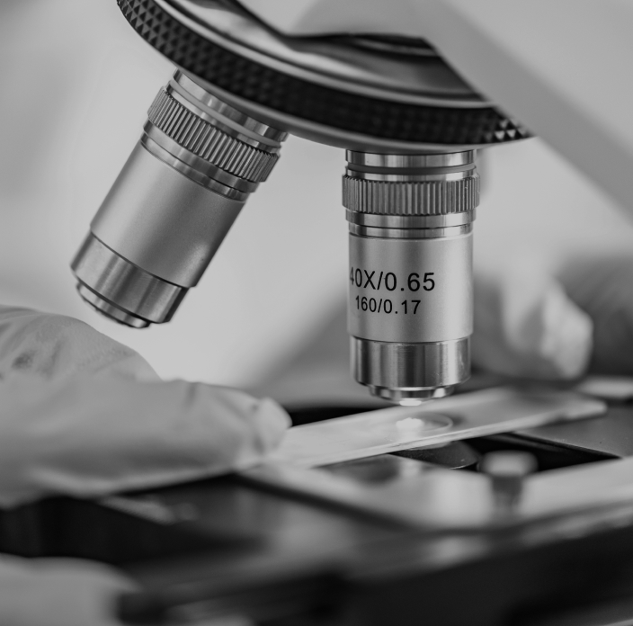 Un microscope avec grand plan sur les objectifs - Maison Abeille Paris 16